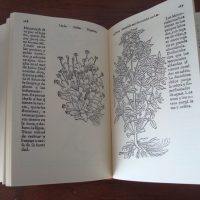 The Book of the Yervas, by Juan de Jarava, 1557 - Image 3