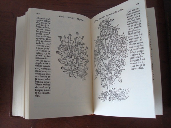 El Libro de las Yervas, de Juan de Jarava, 1557