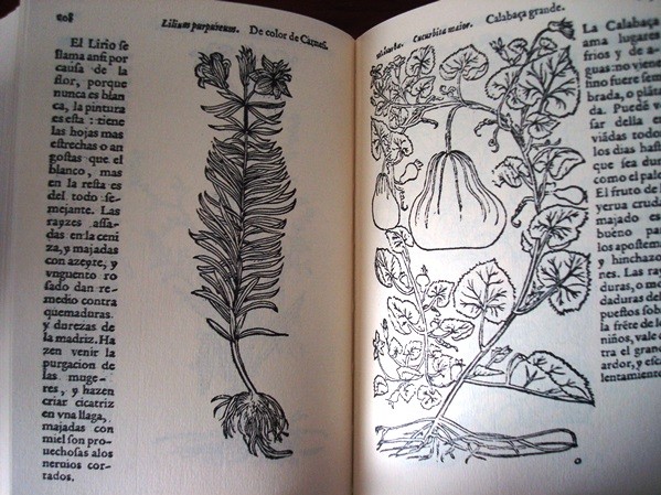 El Libro de las Yervas, de Juan de Jarava, 1557