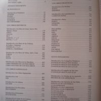 The Golden Bible - Image 11