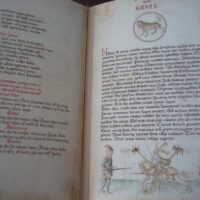 Liber Physiognomiae, ca. 1440 - Image 4