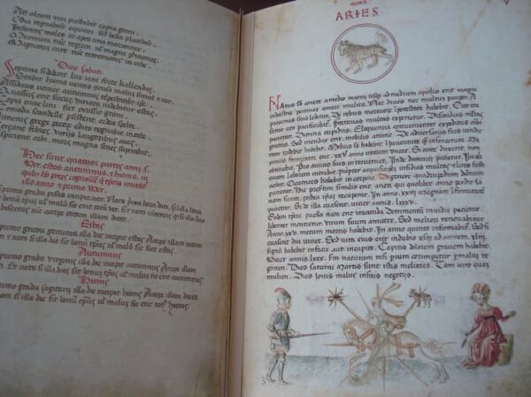 Liber Physiognomiae, ca. 1440 - Image 4