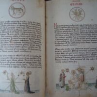 Liber Physiognomiae, ca. 1440