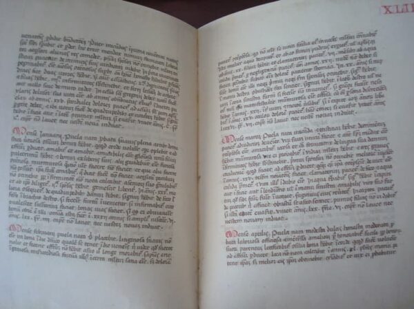 Liber Physiognomiae, ca. 1440 - Image 5