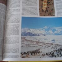 Guinness Thematic Encyclopedia. SUR, 1994 - Image 9