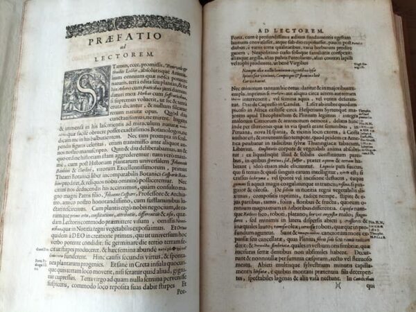 Historiae Naturalis de Arboribus et Fructicibus (2 volúmenes), de Johannes Jonstonus, 1662 (5*) - Imagen 3