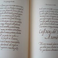 Libro de Cetrería. Luis Zapata. Siglo XVI. 2 tomos - Imagen 4