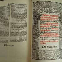 Book four courtesans diseases, 1544 - Image 3