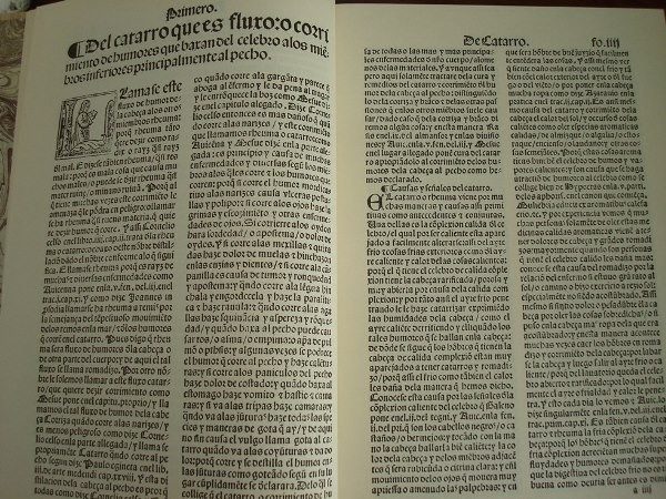 Libro de las cuatro enfermedades cortesanas, 1544