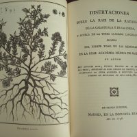 Dissertations on the root of the Ratanhia ... Hipolito Ruiz, 1796 - Image 5