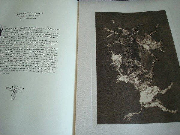 Goya: Los Disparates (Proverbios), obra gráfica