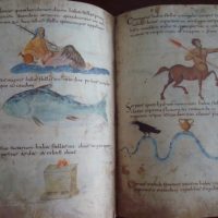 Metz Codex, s. IX