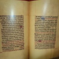 Syllabus Sacraments ..., c. 1488 (paperback) - Image 2