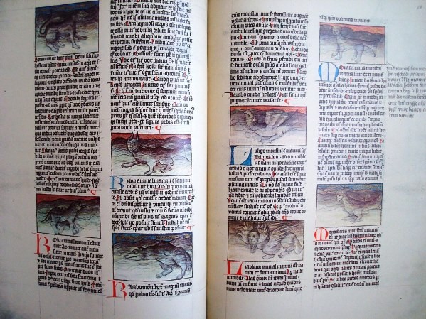 Codex C-67 Granatensis, de San Alberto Magno, s. XV
