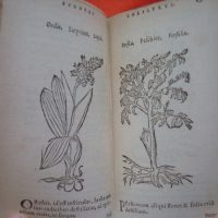 Thesaurus de Remediis Secretis, Conrad Gesner, 1557-1569, Complete work - Image 3