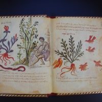 Theriaka and Alexipharmaka, Nicandro, s. X - Image 3