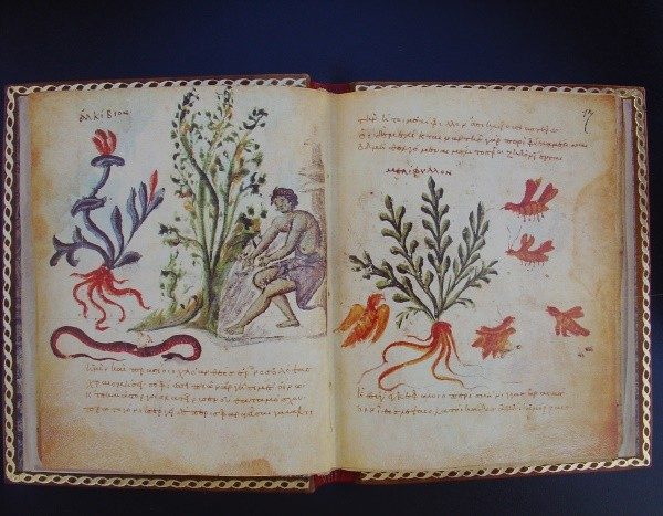 Theriaka and Alexipharmaka, Nicandro, s. X - Image 3
