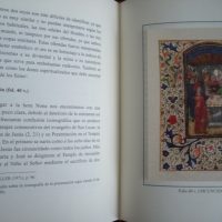 Book study of the Book Horas de la Virgen Maria, s. XV - Image 6