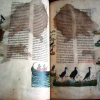 The Art of Falconry of Frederick II, 13th century (with gift of Falconry and Art) - Image 2