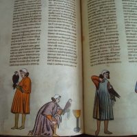 The Art of Falconry of Frederick II, 13th century (with gift of Falconry and Art) - Image 3