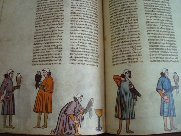 El Arte de Cetrería de Federico II, s. XIII