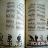 The Art of Falconry of Frederick II, 13th century (with gift of Falconry and Art) - Image 5