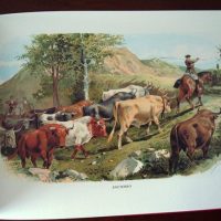 To the bulls, lithographs by Daniel Perea, 1900 - Image 3