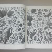 Iconographic encyclopedia. J.G. Heck. 2001. Luxury, unique and exclusive specimen - Image 7