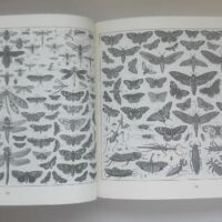 Iconographic encyclopedia. J.G. Heck. 2001. Luxury, unique and exclusive specimen - Image 8