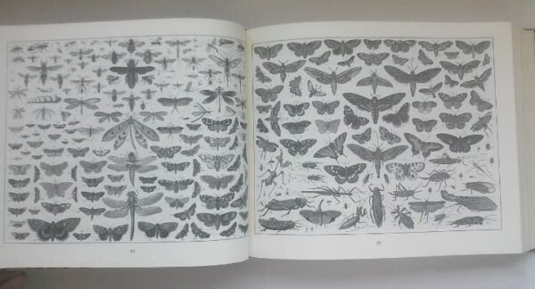 Enciclopedia iconográfica. J. G. Heck. 2001. Ejemplar de lujo, único y exclusivo - Imagen 8