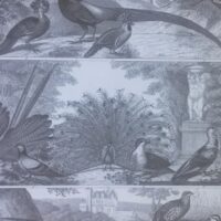 Iconographic encyclopedia. J.G. Heck. 2001. Luxury, unique and exclusive specimen - Image 9