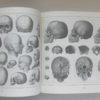 Iconographic encyclopedia. J.G. Heck. 2001. Luxury, unique and exclusive specimen - Image 11