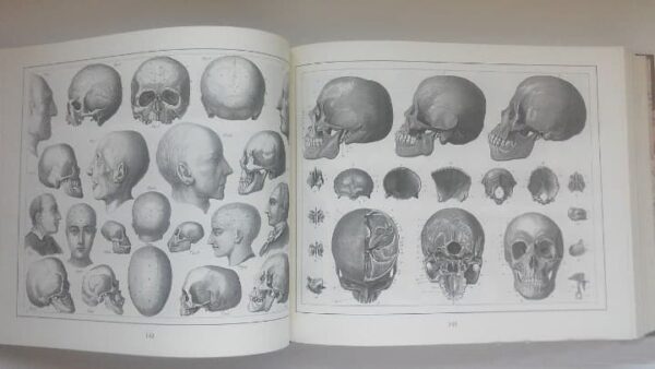 Enciclopedia iconográfica. J. G. Heck. 2001. Ejemplar de lujo, único y exclusivo - Imagen 11