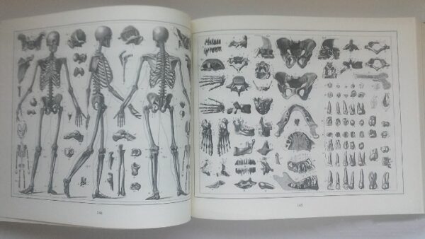 Enciclopedia iconográfica. J. G. Heck. 2001. Ejemplar de lujo, único y exclusivo - Imagen 12