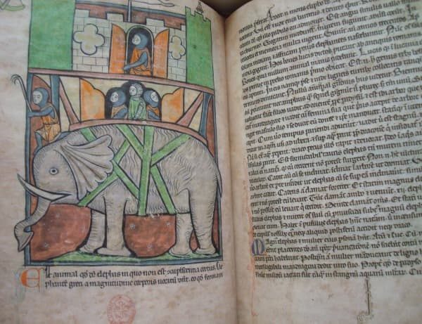 Westminster Bestiary, XIII century - Image 2