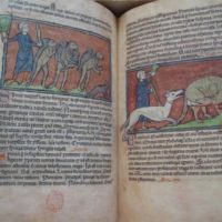 Westminster Bestiary, XIII century - Image 3