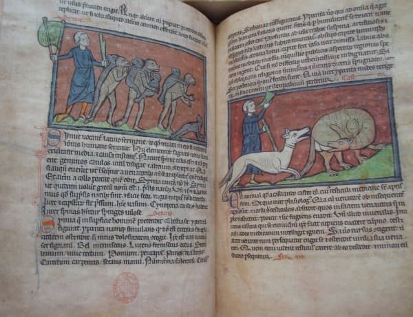 Westminster Bestiary, XIII century - Image 3
