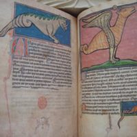 Westminster Bestiary, XIII century - Image 4
