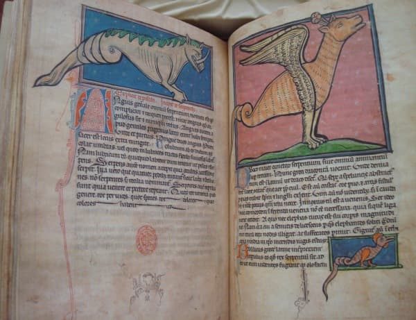 Westminster Bestiary, XIII century - Image 4