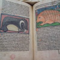 Westminster Bestiary, XIII century - Image 5