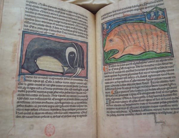 Westminster Bestiary, XIII century - Image 5
