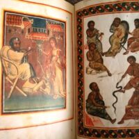 Vatican Dioscorides of Pope Alexander VII: Latin and Greco-Latin, 12th and 15th centuries - Image 11