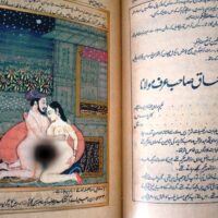 Kama Sutra de Vatsyayana (con facsímil códice persa) (+R) - Imagen 2