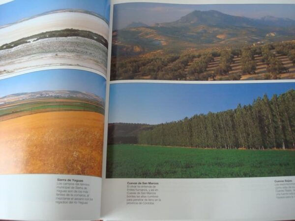 Landscapes of Malaga and Malaga town by town. SUR, 1995-1996 - Image 11