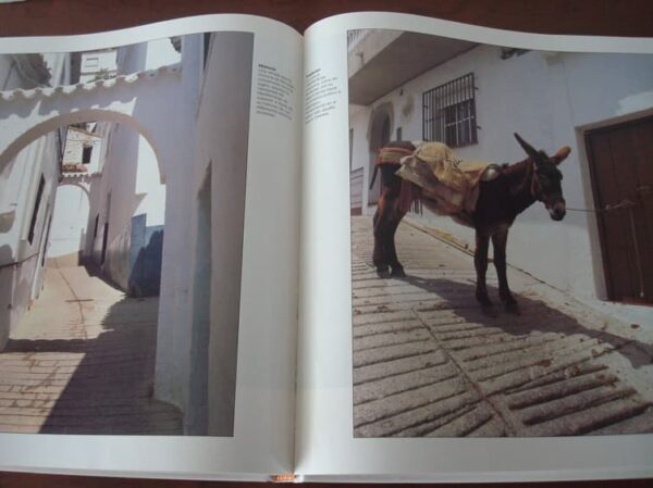 Landscapes of Malaga and Malaga town by town. SUR, 1995-1996 - Image 15