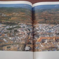 Landscapes of Malaga and Malaga town by town. SUR, 1995-1996 - Image 6