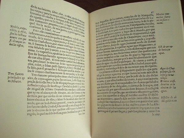 Sitio, Naturaleza y Propiedades de la Ciudad de México, Diego Cisneros, 1618