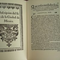 Site, Nature and Properties of the City of Mexico, Diego Cisneros, 1618 - Image 3