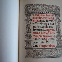Reproach of superstition and witchcraft, Pedro Sanchez Ciruelo