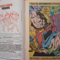 Spiderman, cómic especial invierno 1990